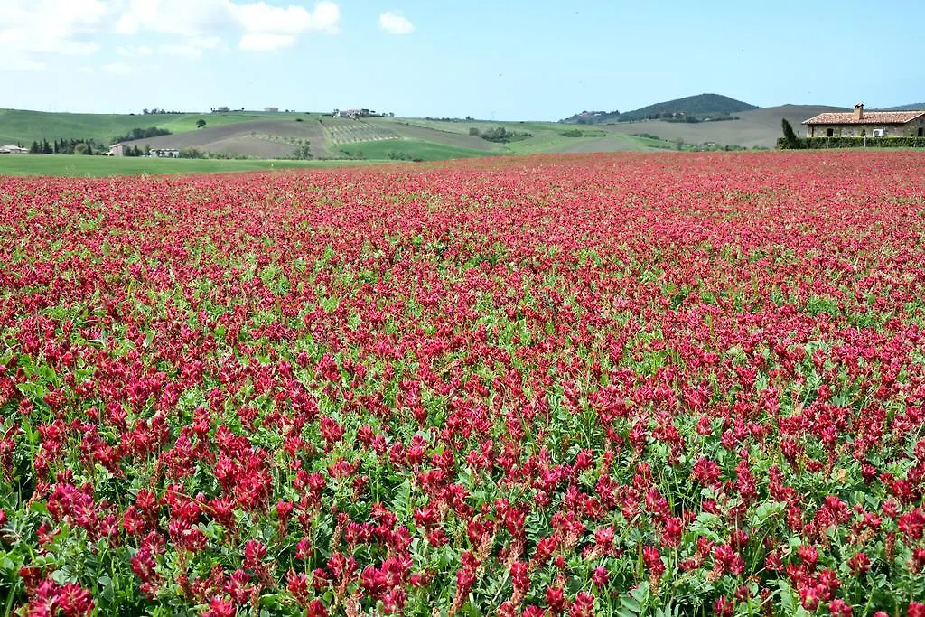 Agriturismo L'Impero 산타루체